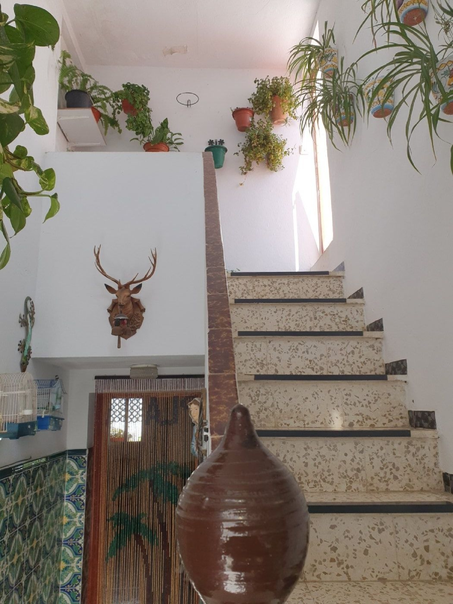  till salu hus Las Lomas Janda (La) 5