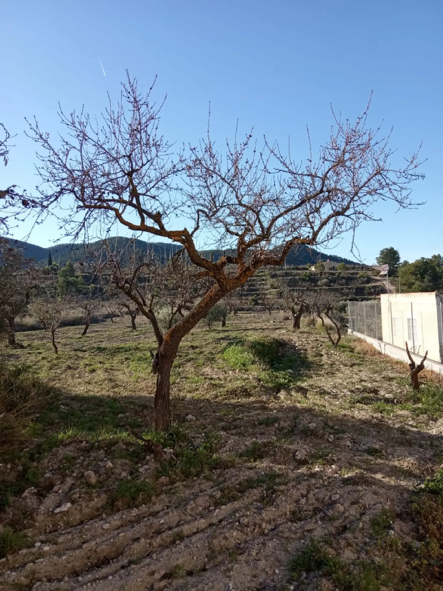  till salu hus Fuente Del Cieno Valle De Ricote 8
