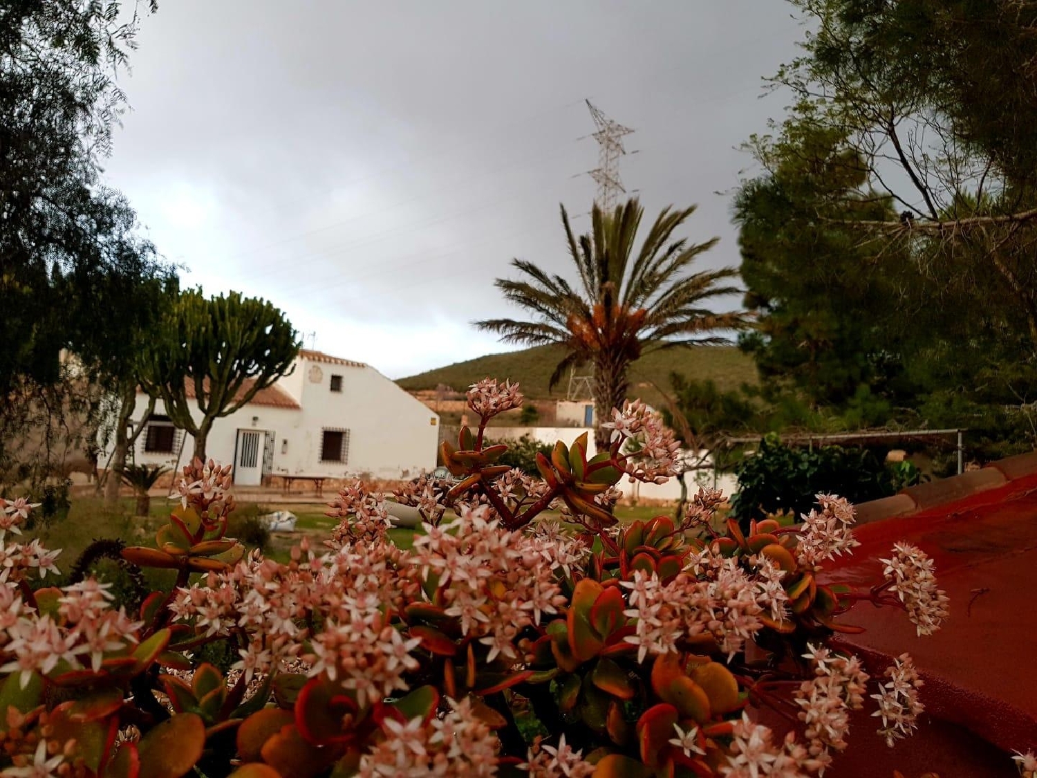 till salu hus Las Palas Campo De Cartagena 3
