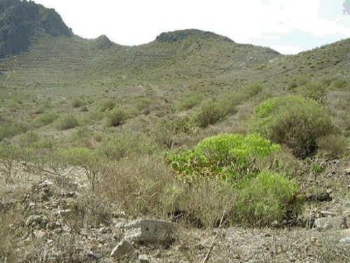 Las Rosas Zona Sur hus foto 6234176