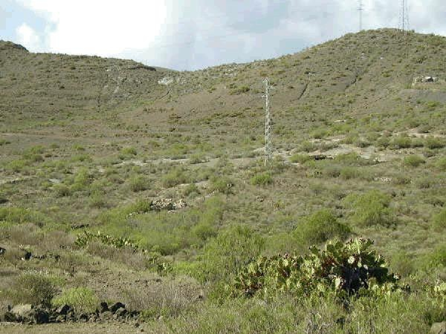  till salu hus Las Casas Viejas Zona Sur 2