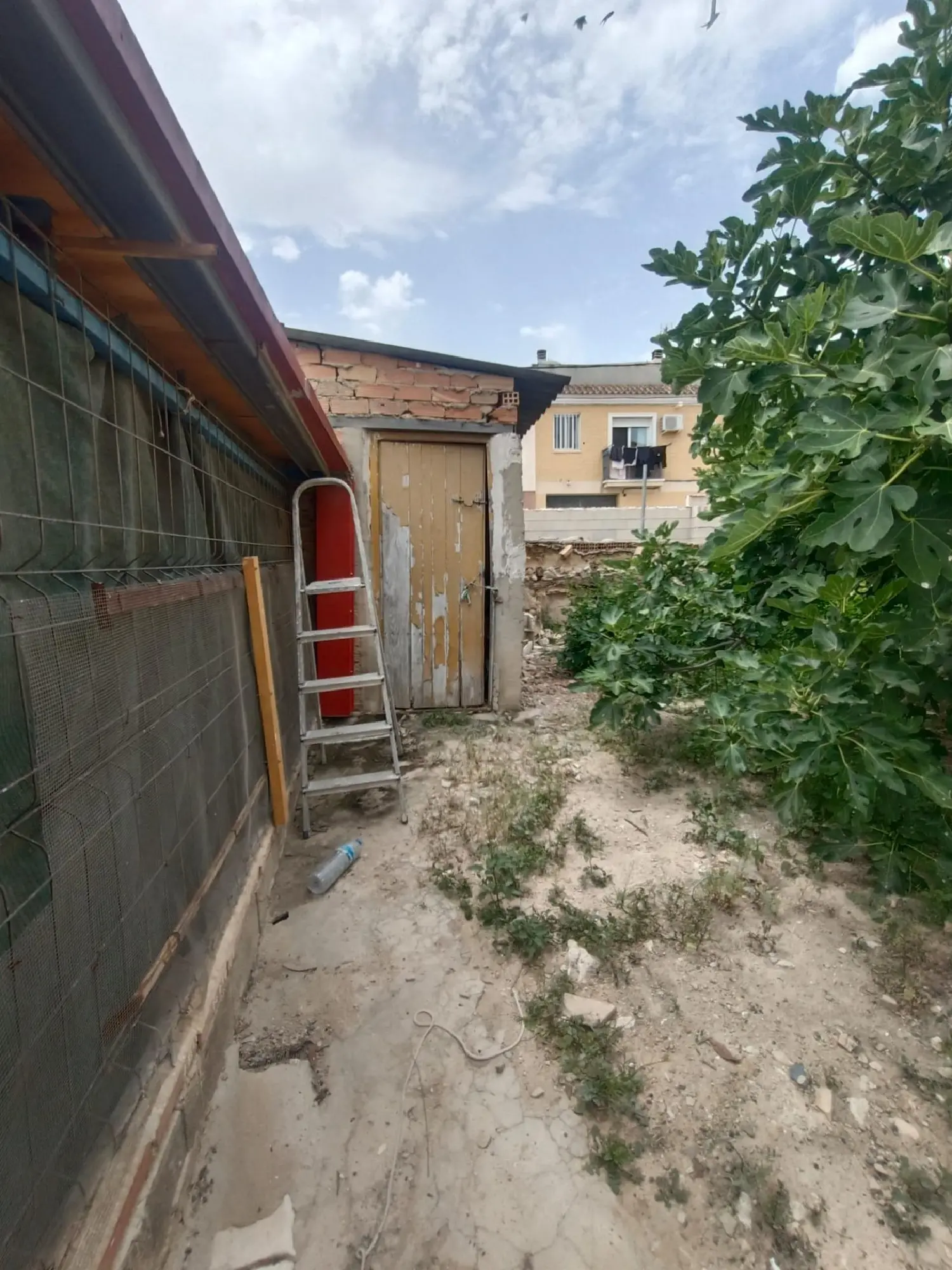  till salu hus La Esparraguera Vega Media Del Segura 5
