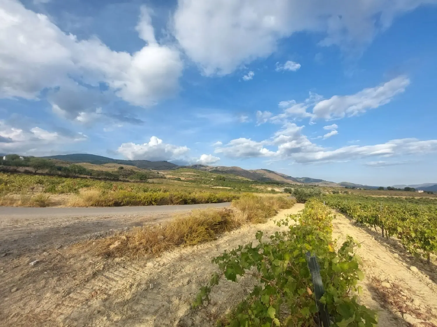 till salu hus Láujar De Andarax Alpujarra Almeriense 1