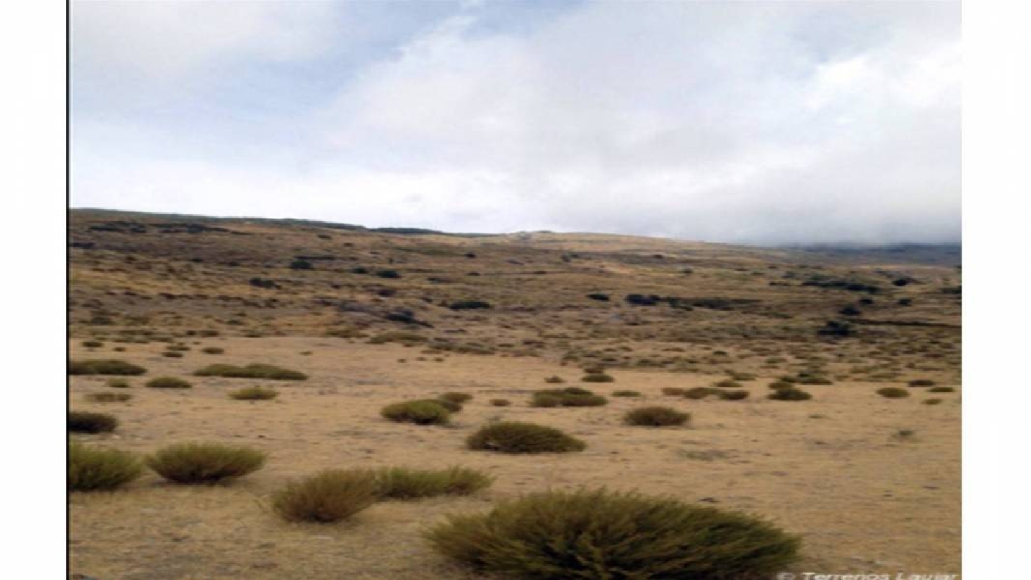 till salu hus Láujar De Andarax Alpujarra Almeriense 2