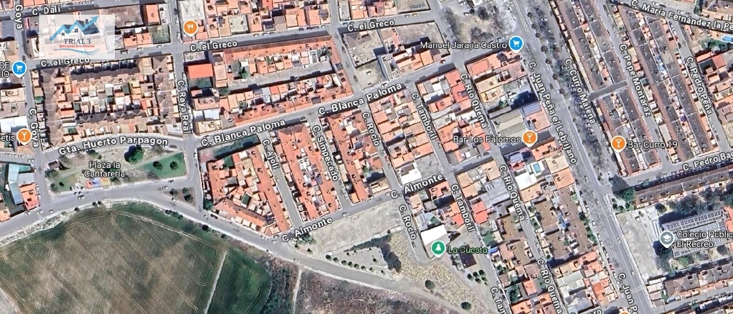 till salu hus Lebrija Bajo Guadalquivir 3