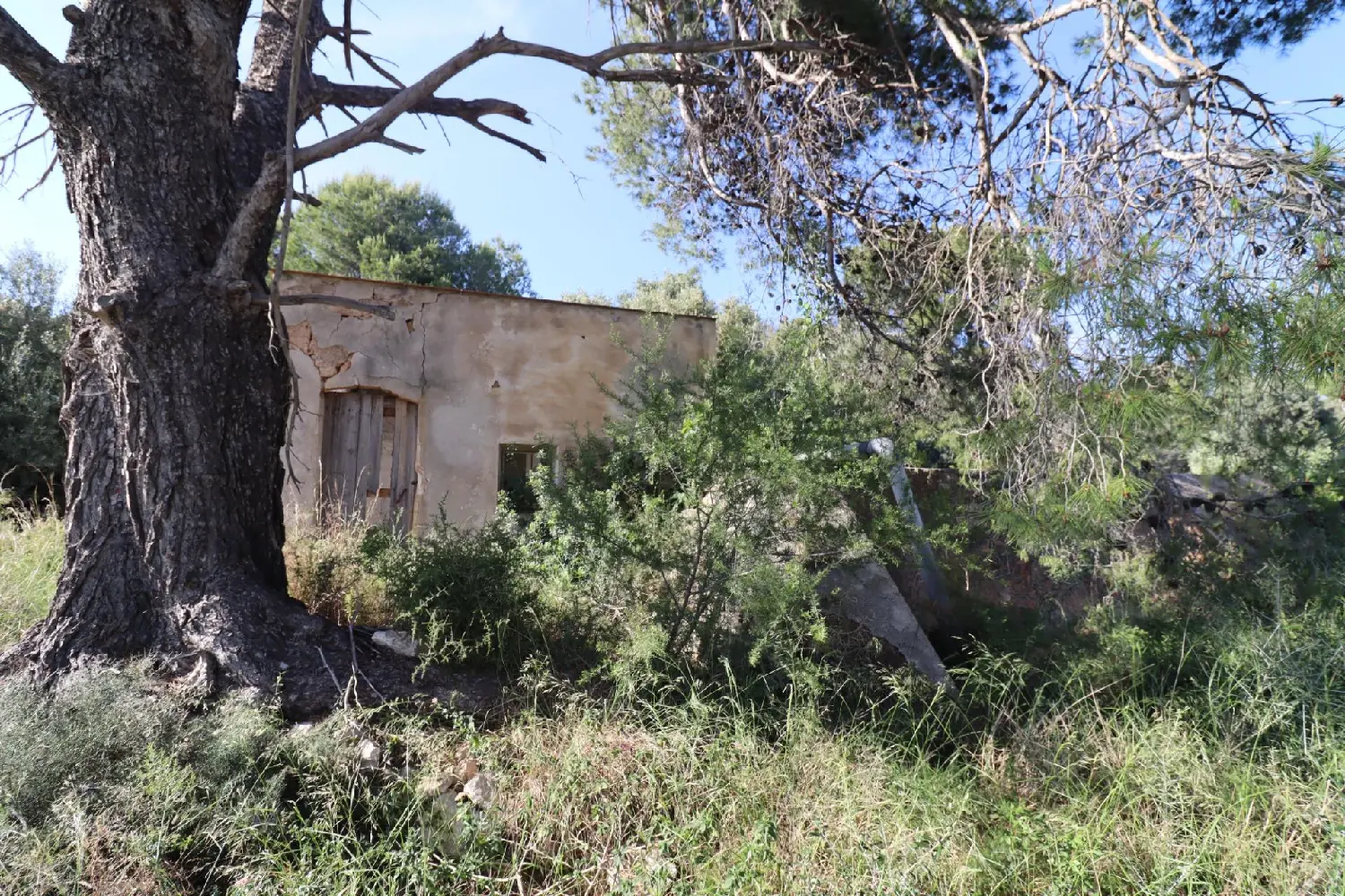  till salu hus Les Cases D'alcanar Montsià 1