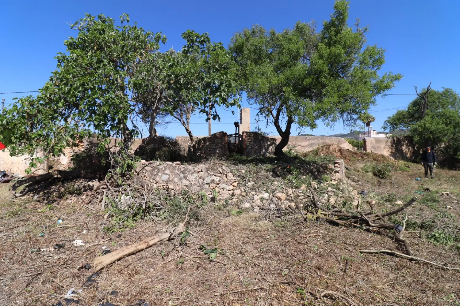  till salu hus Les Cases D'alcanar Montsià 6