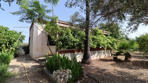 Les Cases D''alcanar Montsià hus foto 6219384