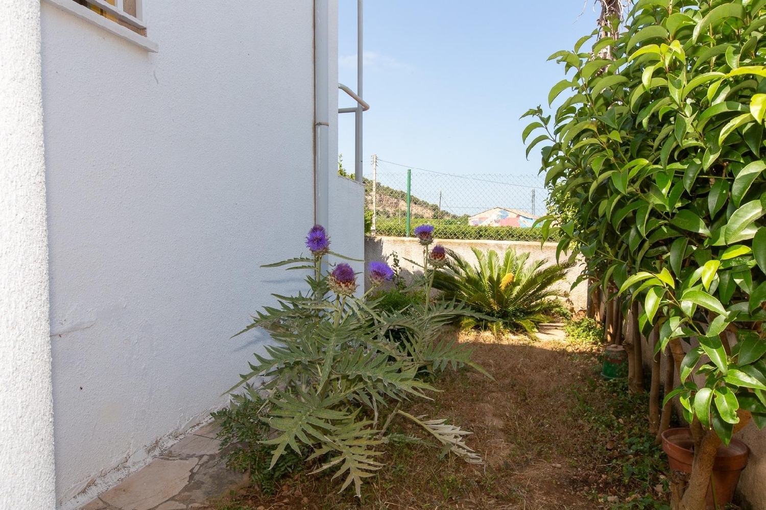  for sale house Les Cases D'alcanar Montsià 4