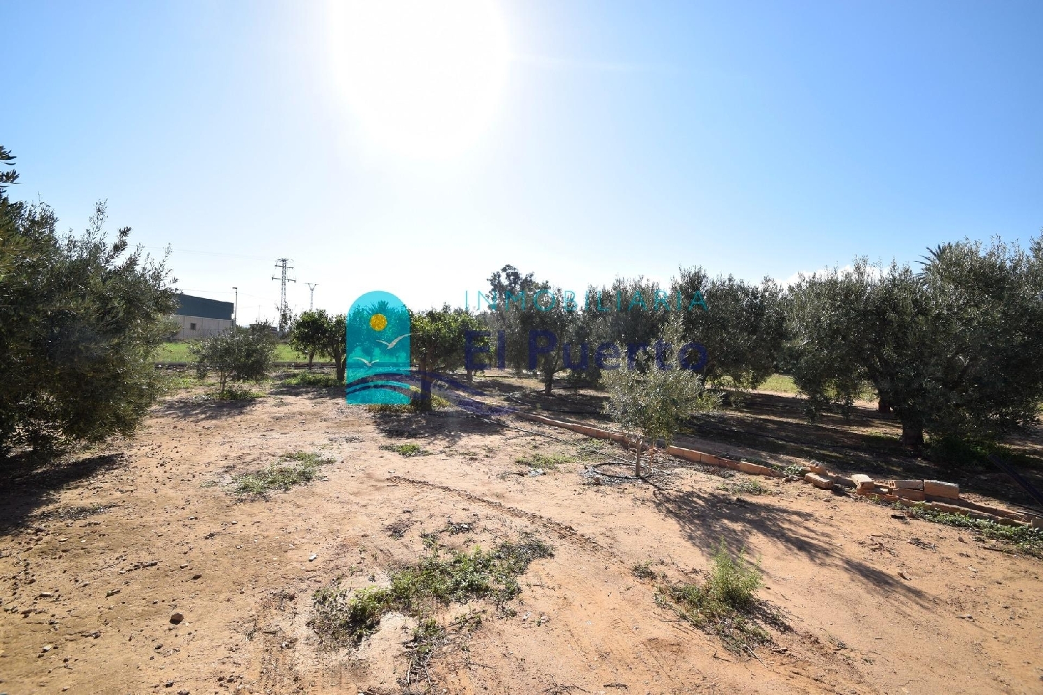  till salu hus Lo Jorge Campo De Cartagena 5