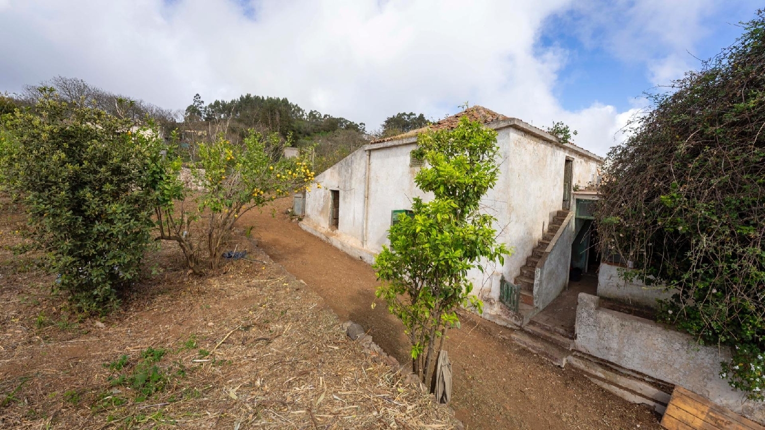 till salu hus Las Barreras Zona Metropolitana 1