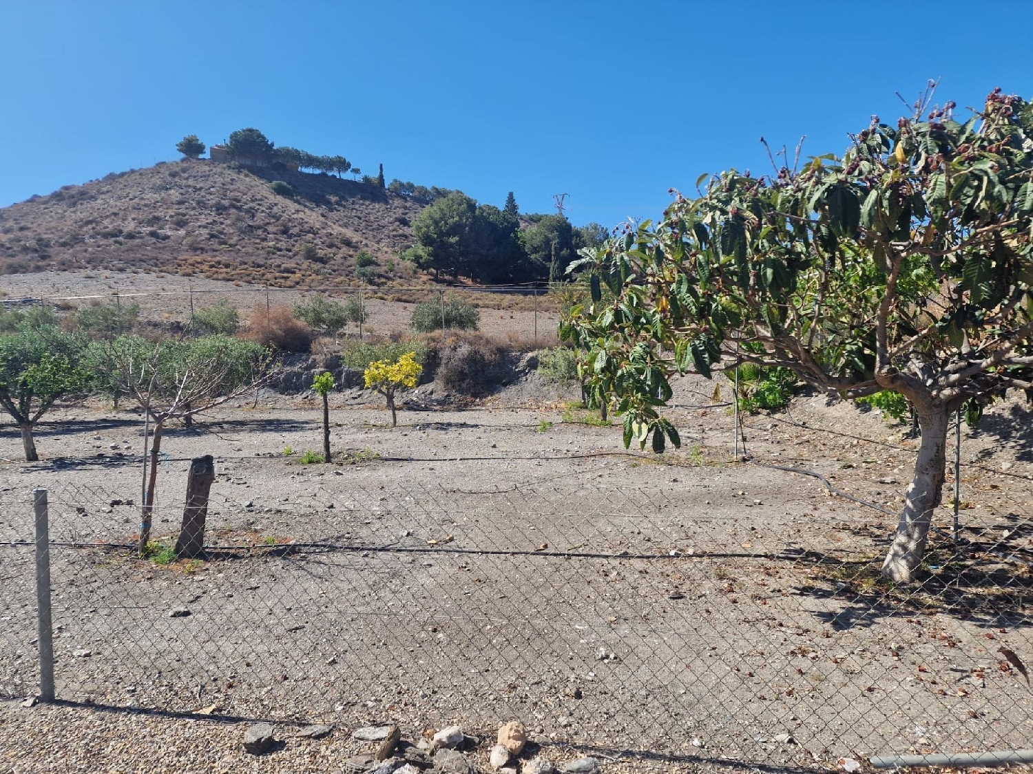  till salu hus Los Arejos Alto Guadalentín 6