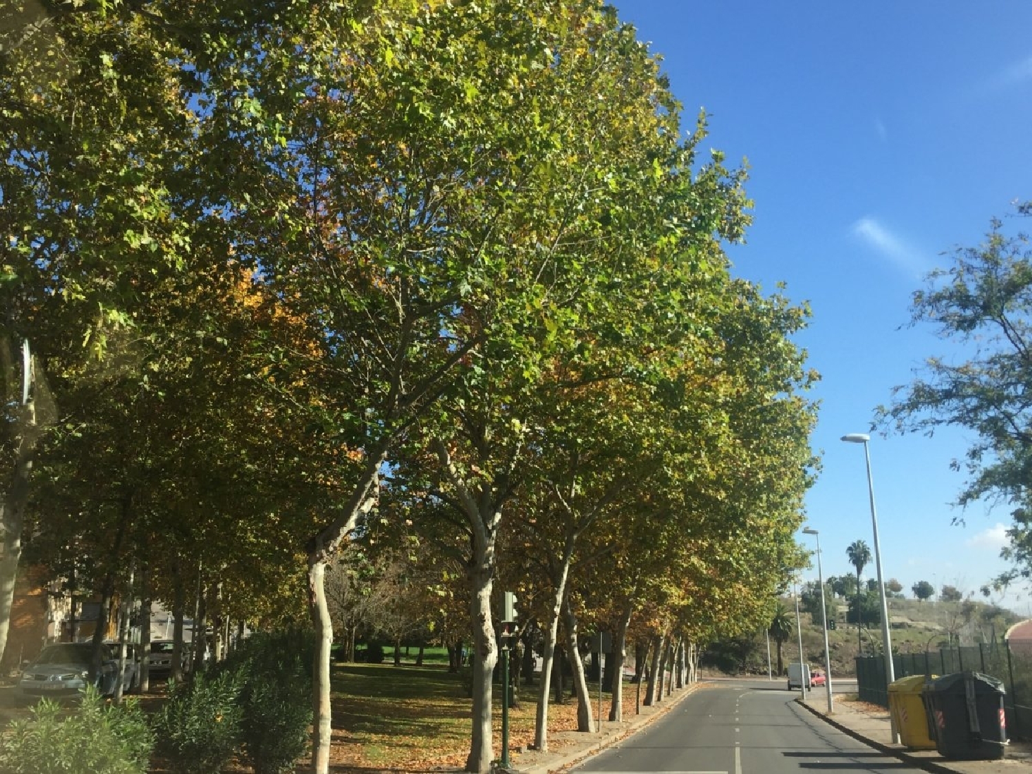 till salu hus Los Arenales Córdoba 3