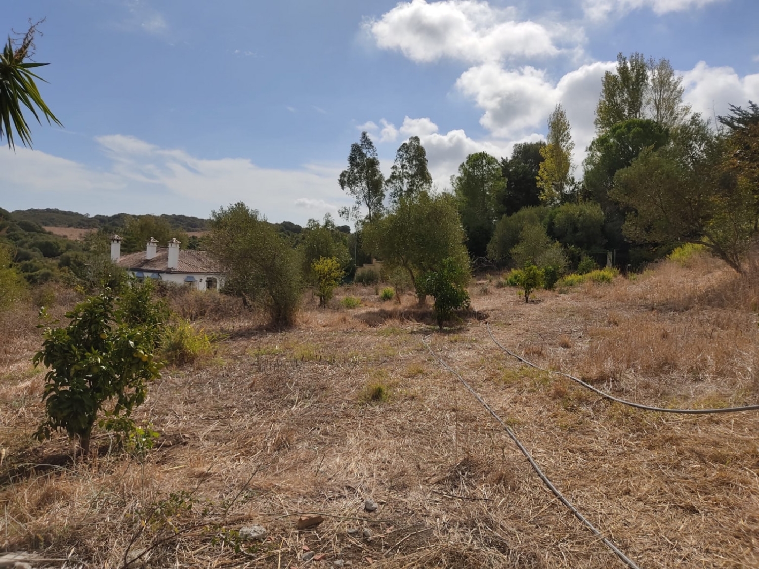 till salu hus Los Barrios Campo De Gibraltar 2