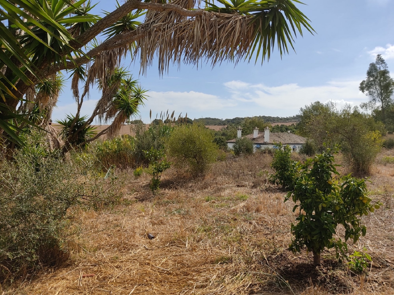  till salu hus Los Barrios Campo De Gibraltar 1