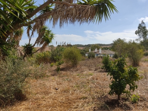 Los Barrios Campo De Gibraltar hus foto 6258062