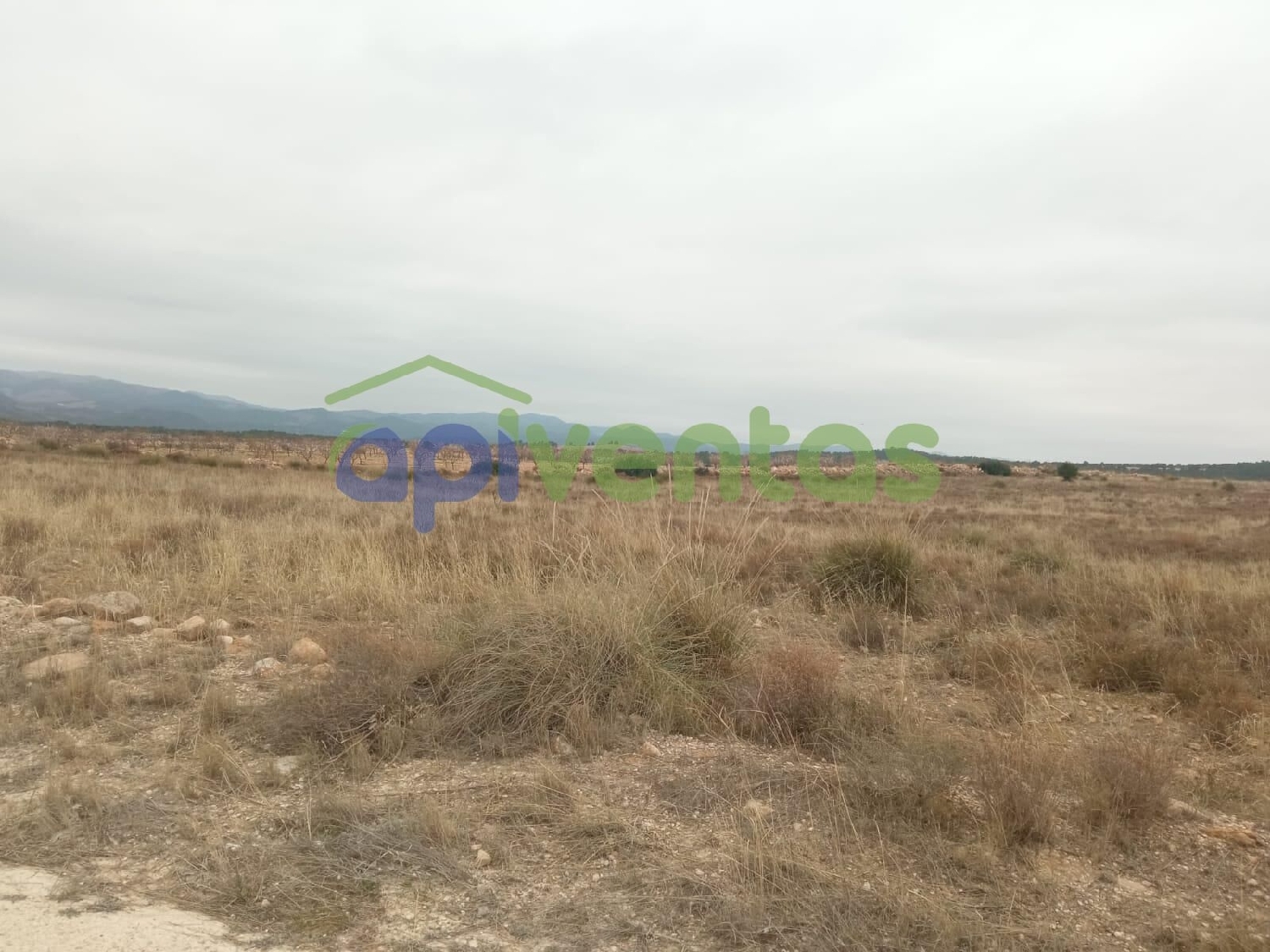  till salu hus Los Cegarra Alto Guadalentín 5