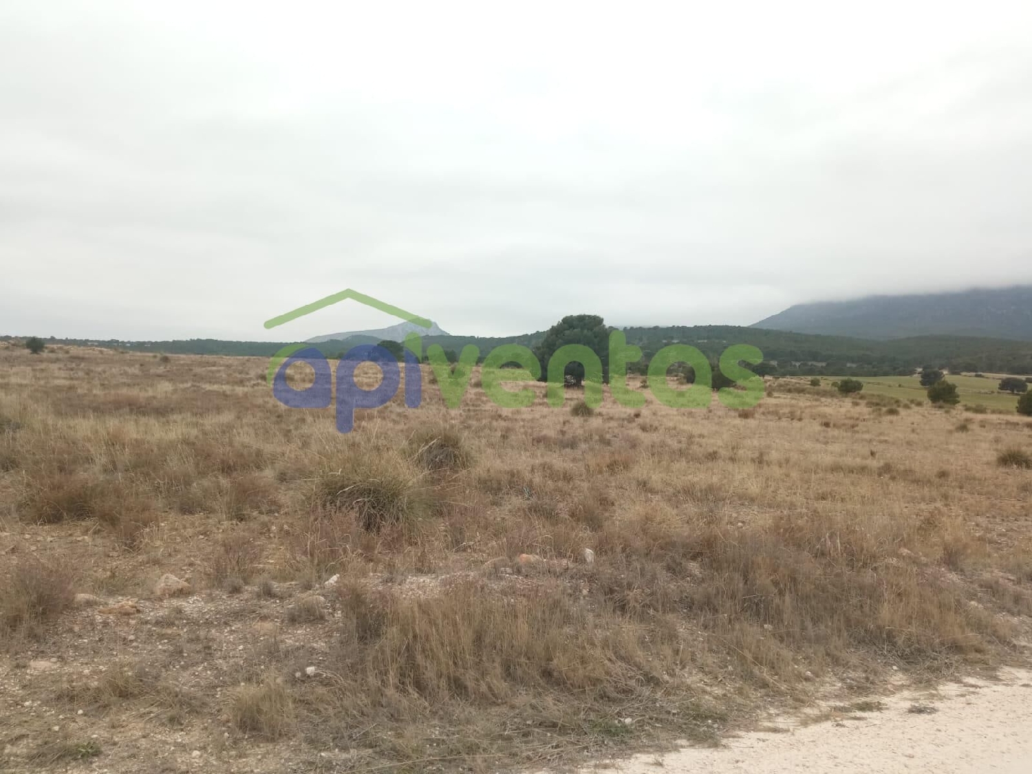  till salu hus Los Cegarra Alto Guadalentín 4