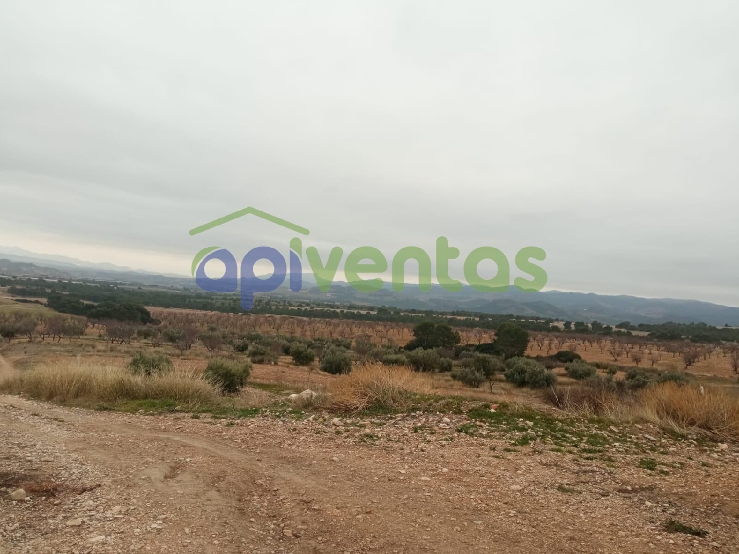  till salu hus Los Cegarra Alto Guadalentín 6