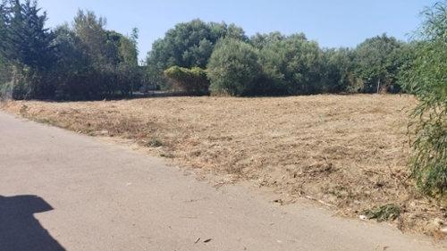 Los Gallos Bahía De Cádiz hus foto 6220874