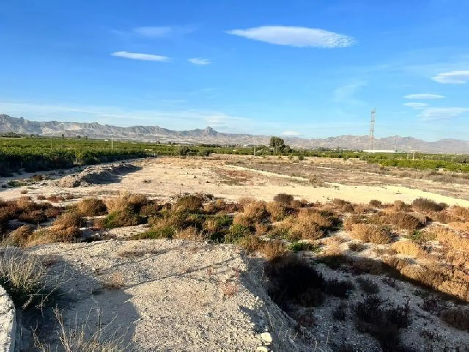  till salu hus Pilar De La Horadada Baix Segura 1