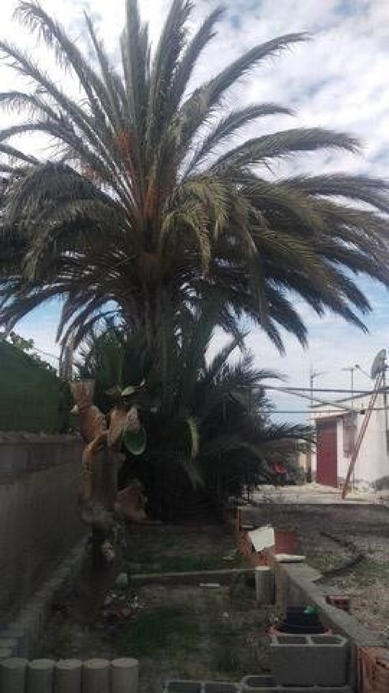 till salu hus La Mela Levante Almeriense 3