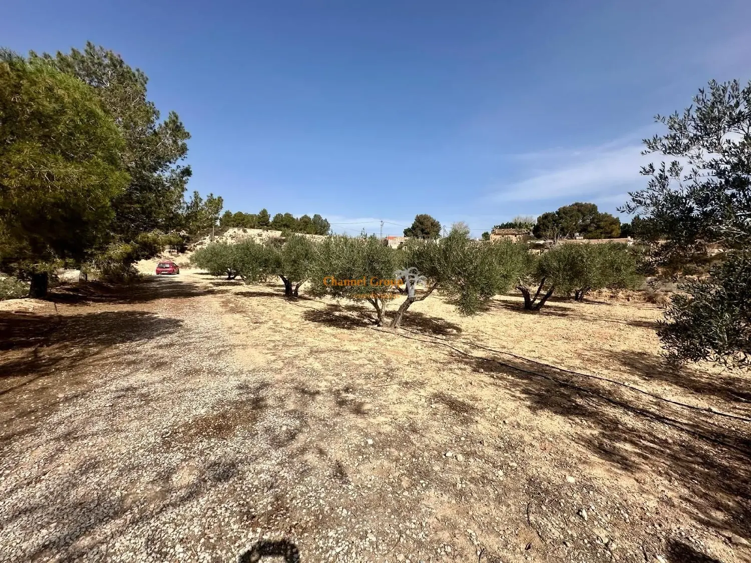  till salu hus Los Marcos Requena-Utiel 4