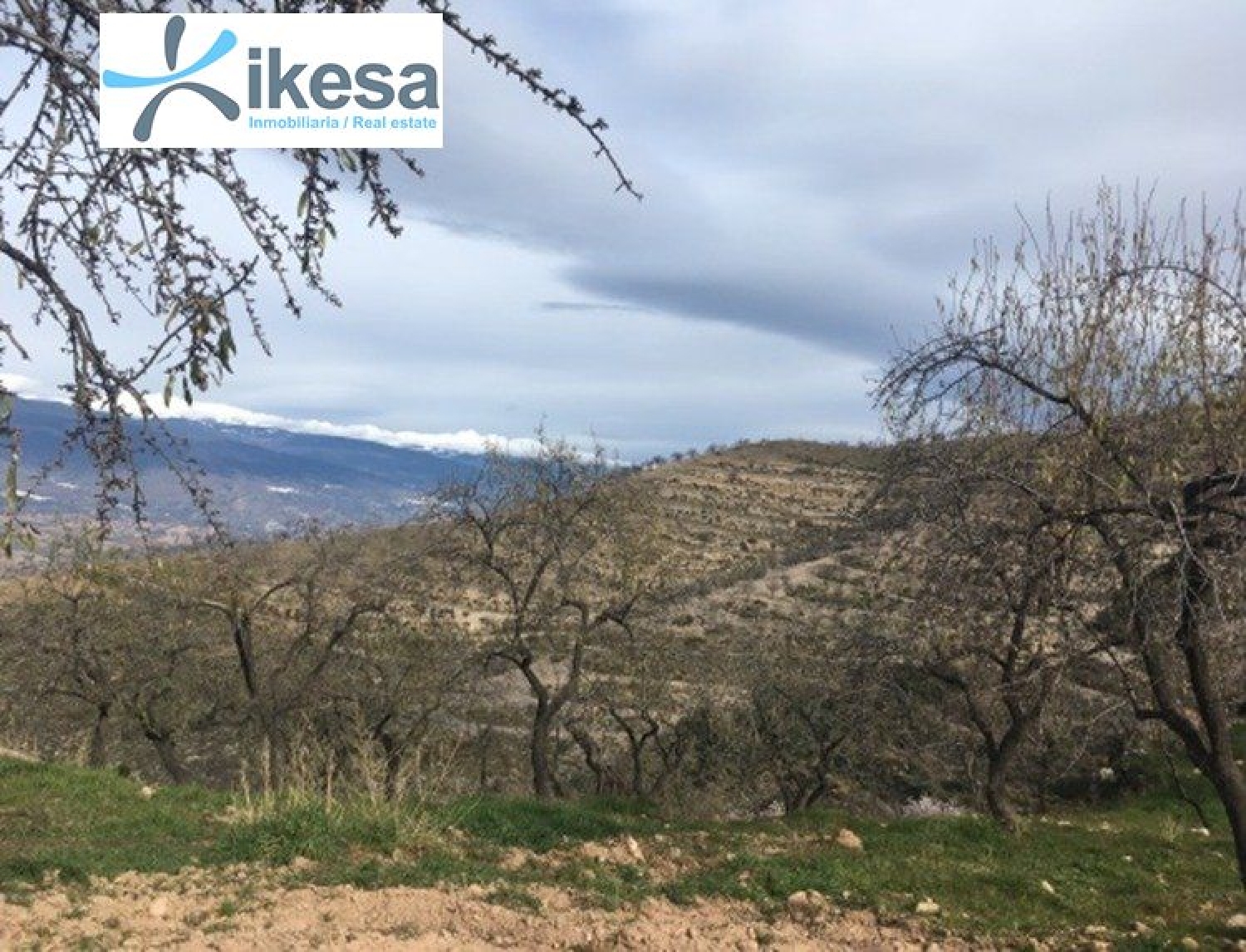 till salu hus Ugíjar Alpujarra Granadina 2