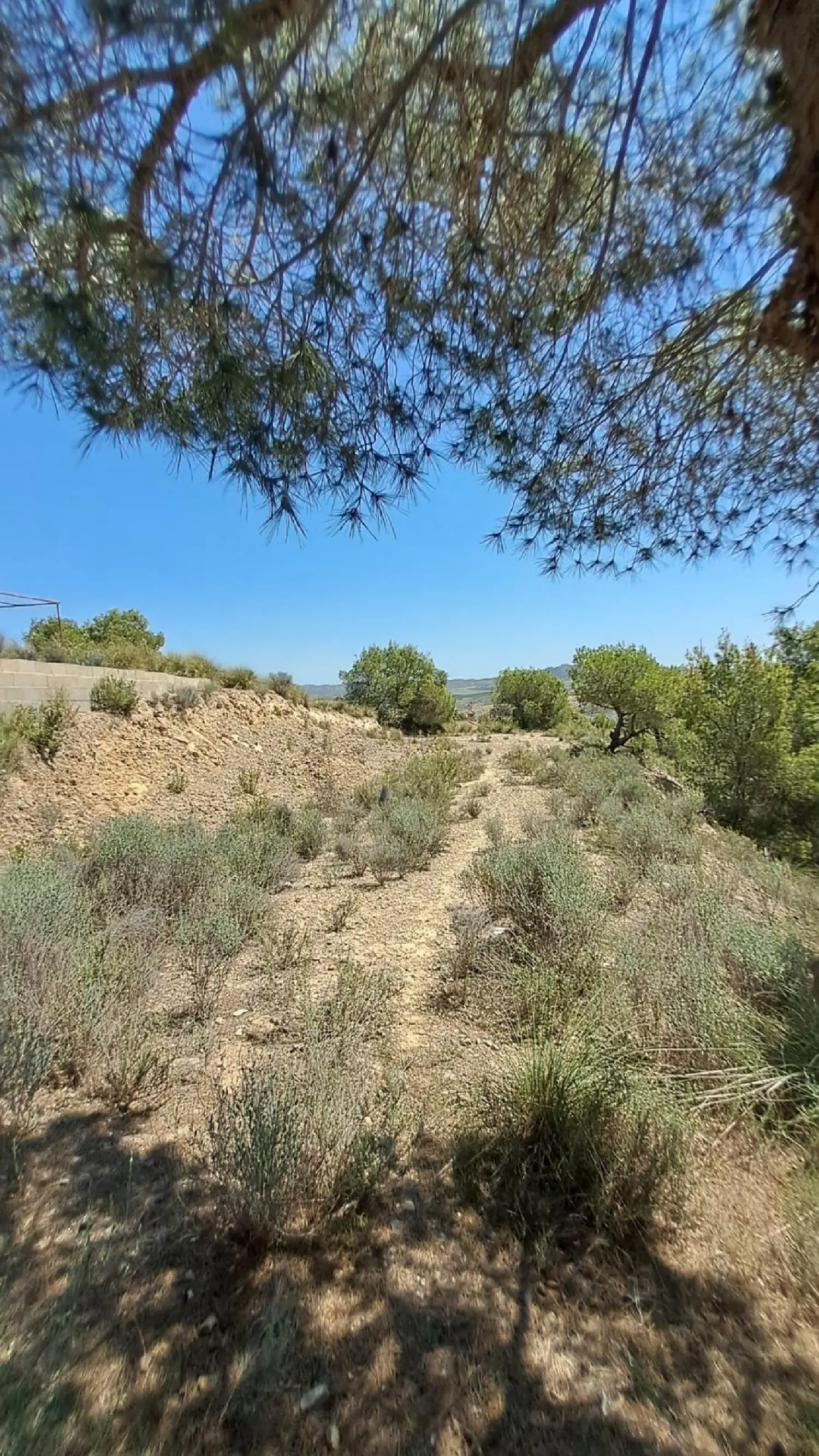 till salu hus Punta Calera Mar Menor 2
