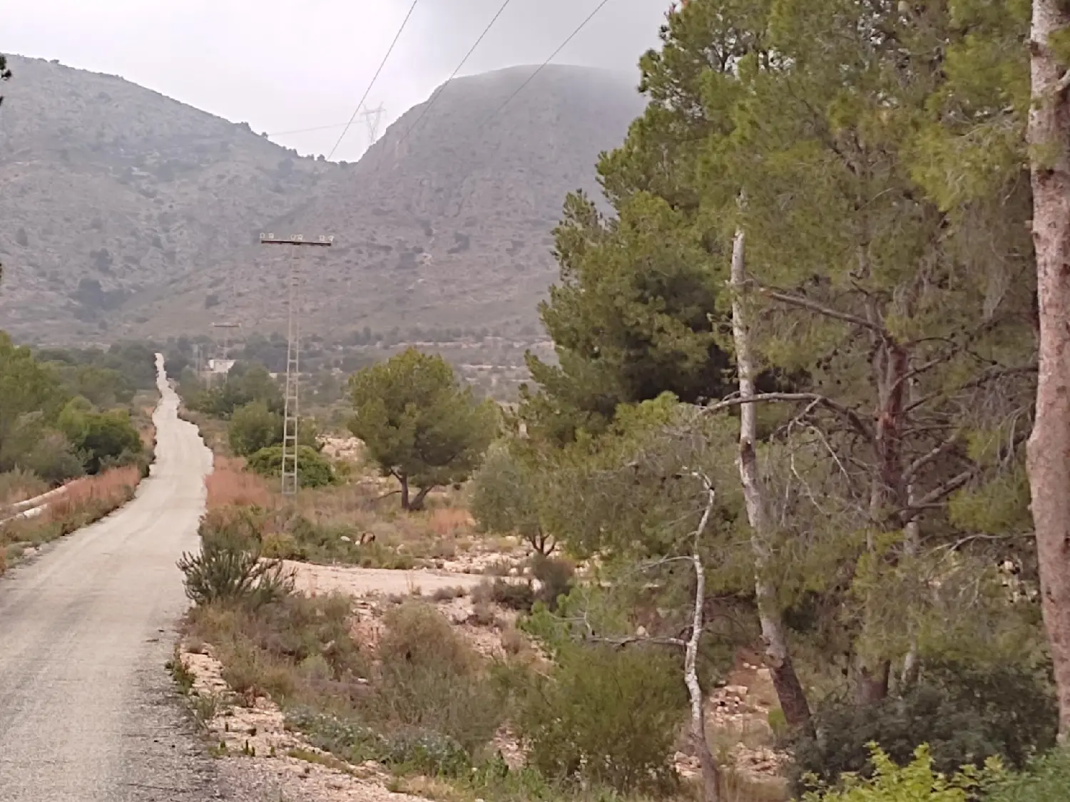  till salu hus El Vincle Baix Vinalopó 1