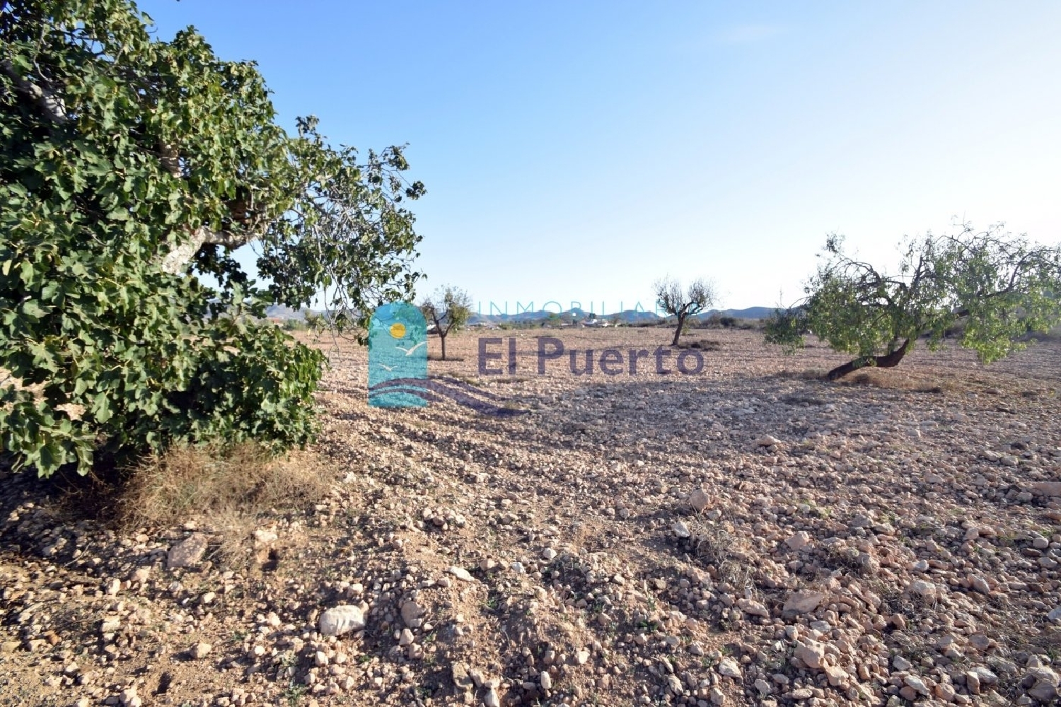  till salu hus Los Ruices Campo De Cartagena 5