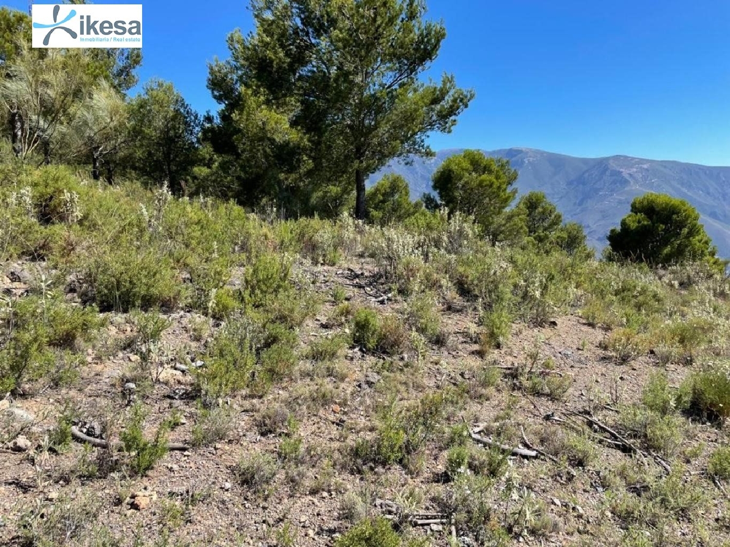 till salu hus Los Tablones Alpujarra Granadina 3