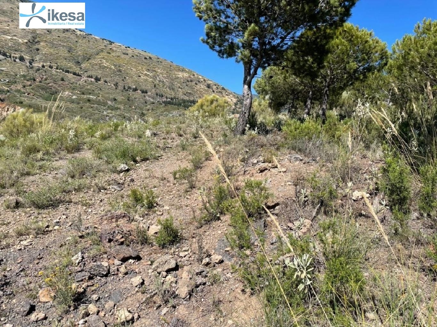 till salu hus Los Tablones Alpujarra Granadina 2
