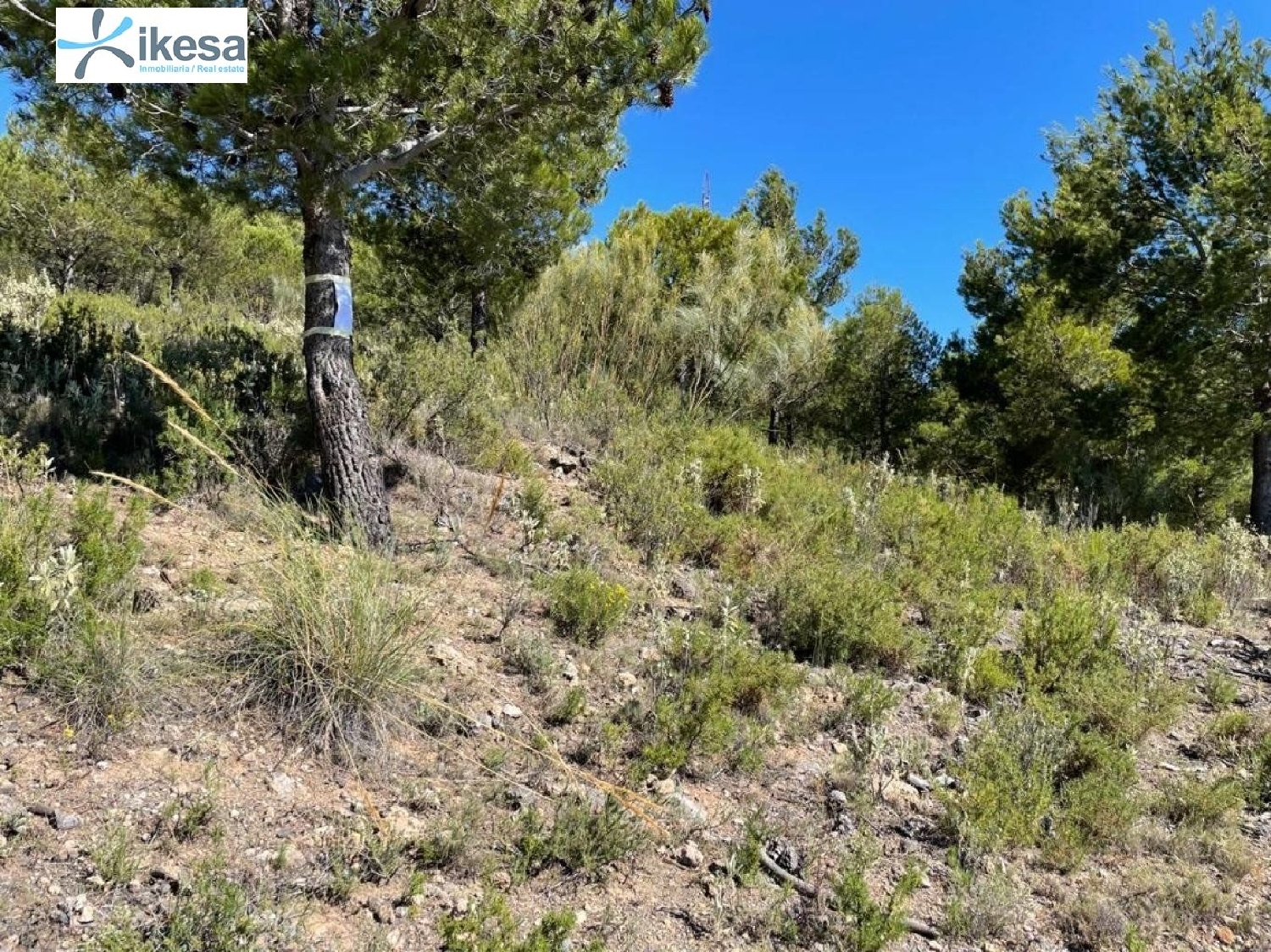  till salu hus Los Tablones Alpujarra Granadina 6