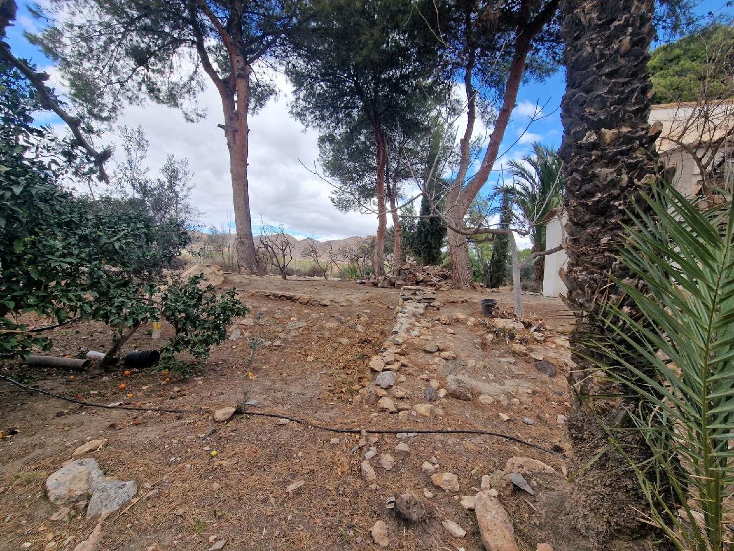  till salu hus Los Urrutias Campo De Cartagena 4