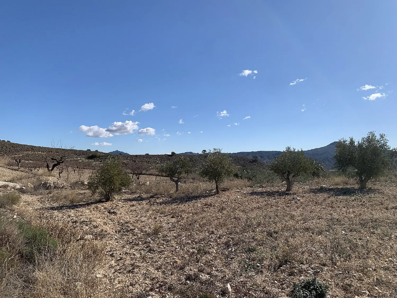 till salu hus Los Baños Río Mula 40