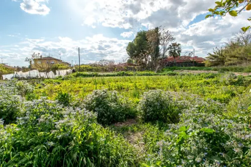 Molino Del Nelva Huerta De Murcia hus foto 6189725