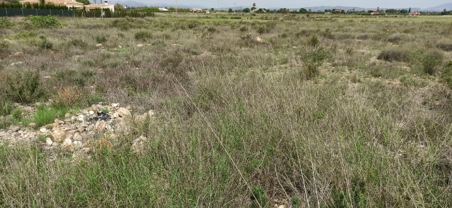  till salu hus Maitino Baix Vinalopó 4