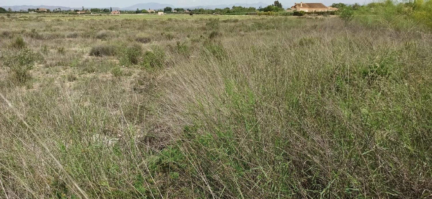 till salu hus Maitino Baix Vinalopó 2