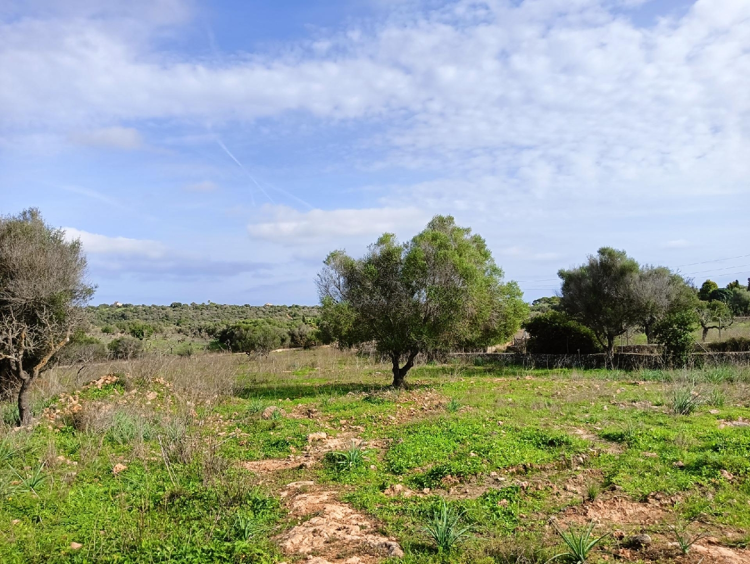  till salu hus Manacor Llevant 6