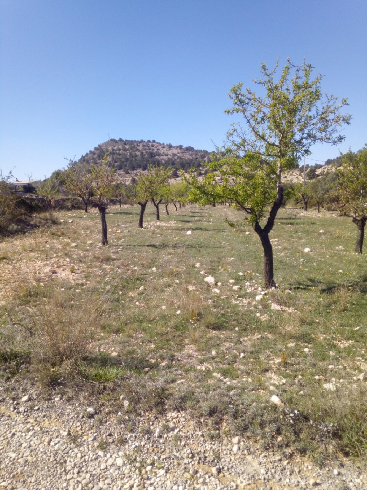 till salu hus Monóvar Vinalopó Mitjà 2
