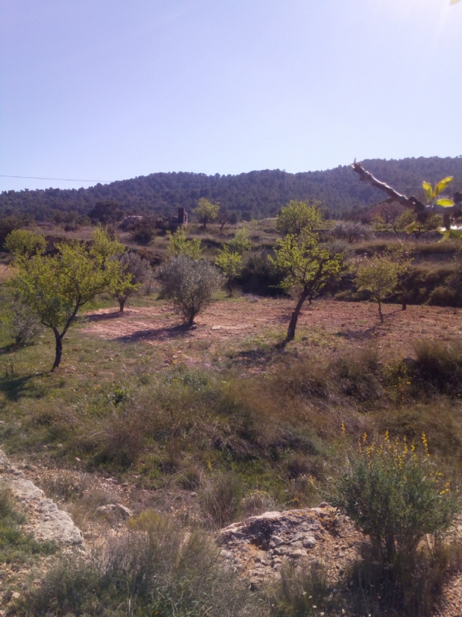  till salu hus Monóvar Vinalopó Mitjà 1
