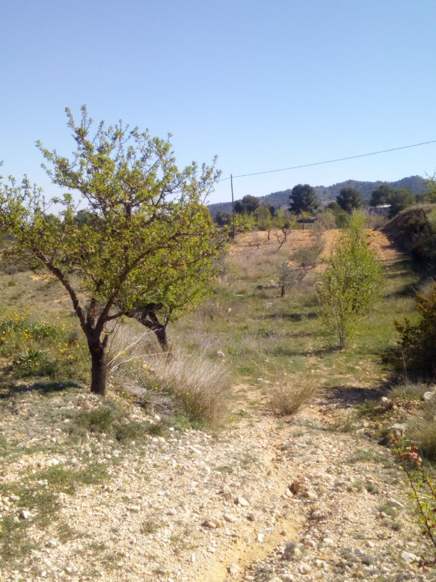  till salu hus Monóvar Vinalopó Mitjà 4