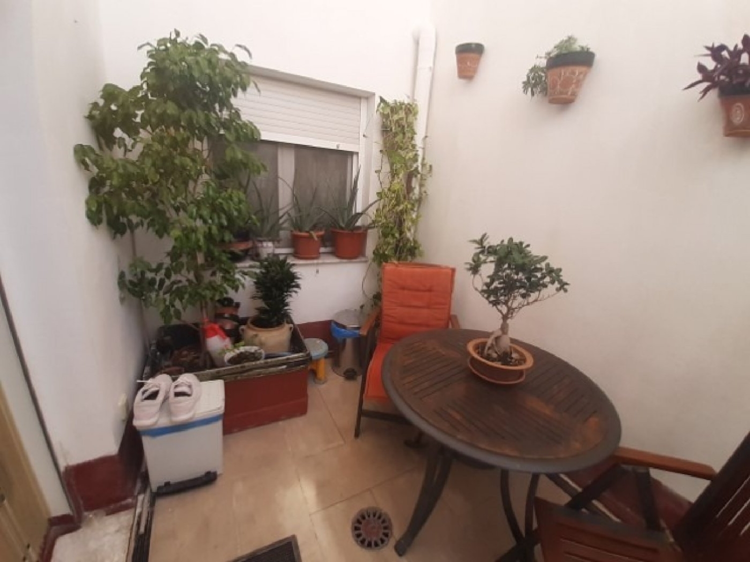  till salu hus Canyades D'en Cirus Vinalopó Mitjà 6