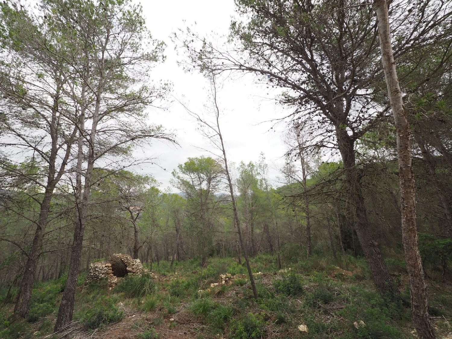 till salu hus Mas D'en Serra Garraf 3