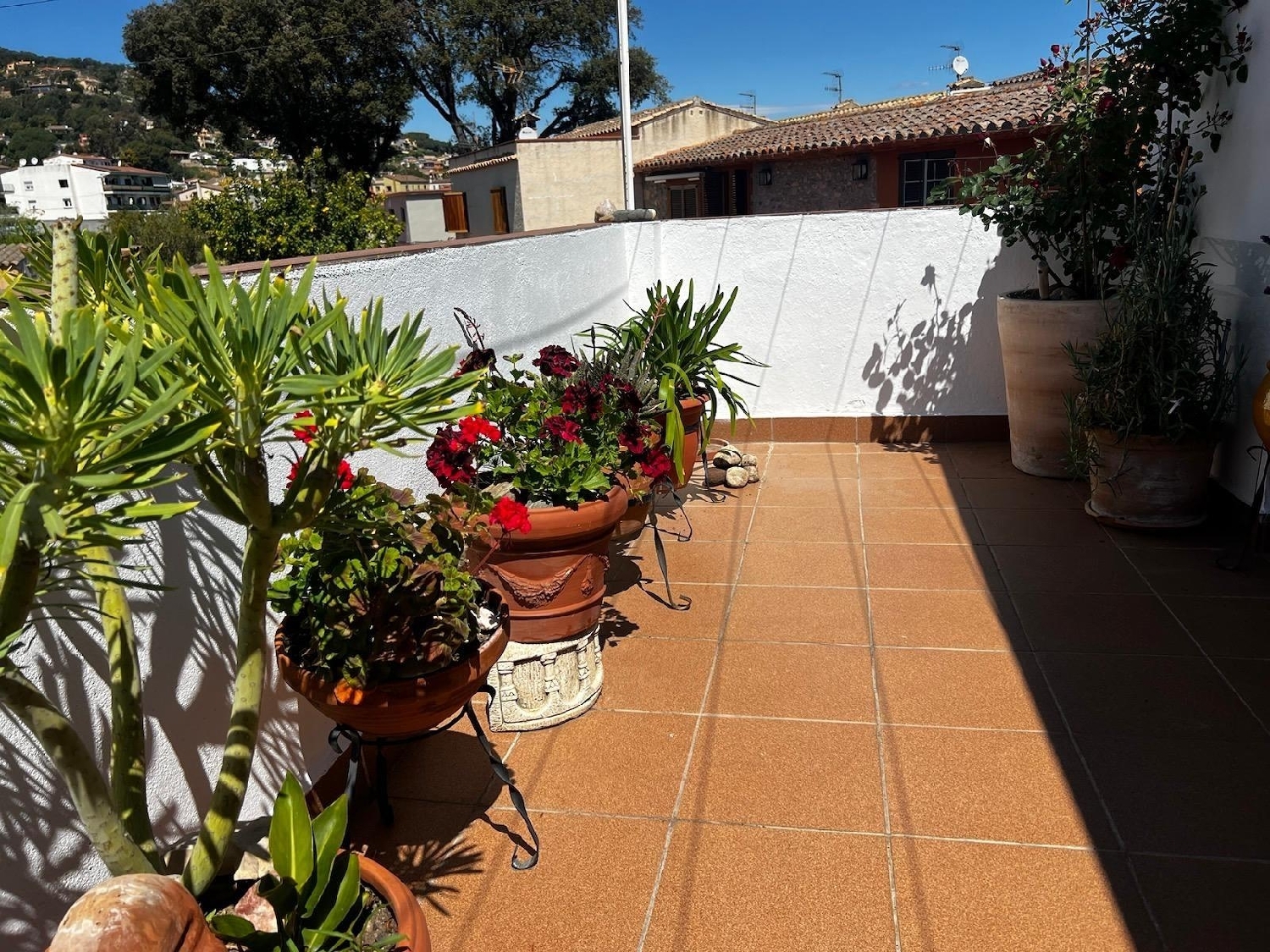  till salu hus Mas Falet Del Migdia Baix Empordà 4