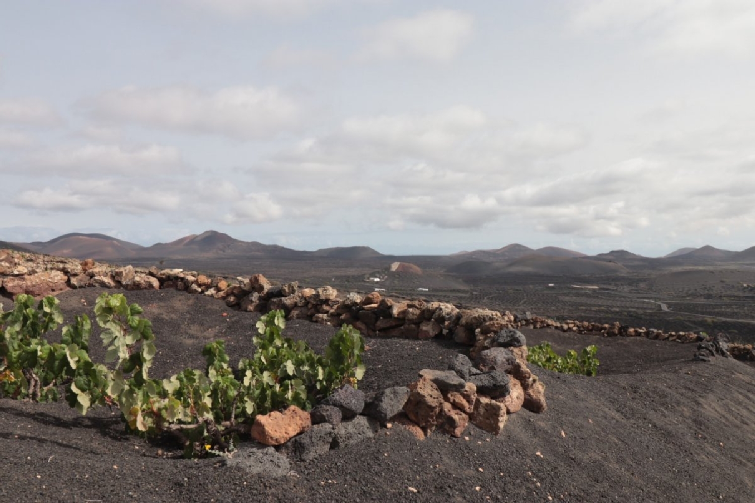  till salu hus Masdache Lanzarote 5