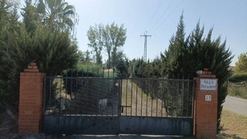 Millanes Campo Arañuelo hus foto 6254039