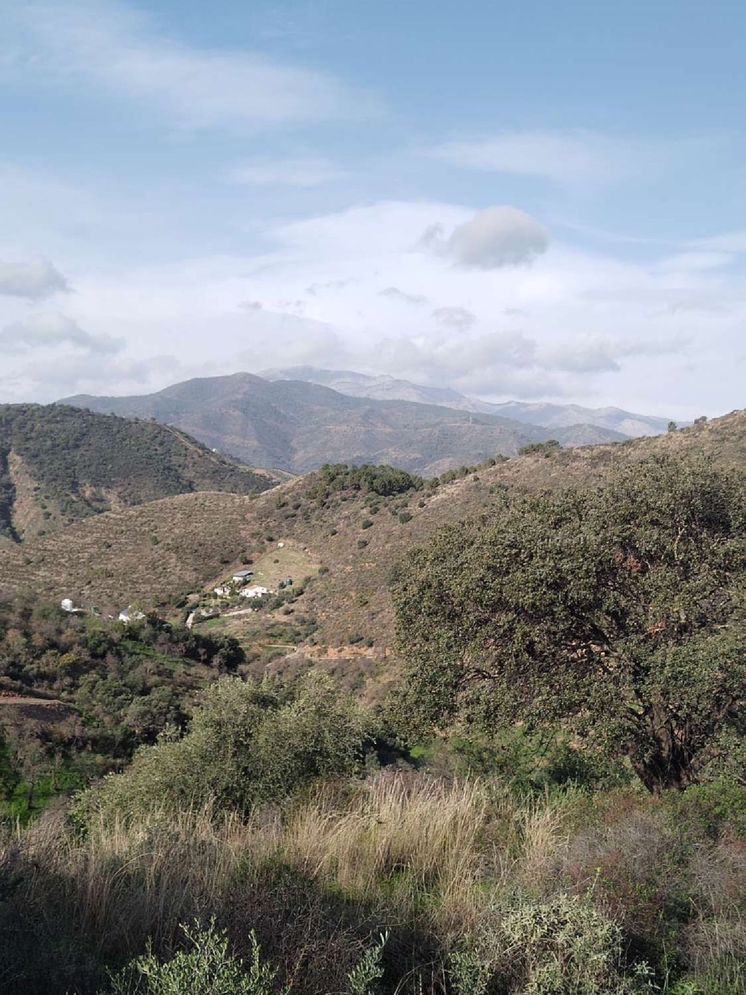 till salu hus Monda Sierra De Las Nieves 3