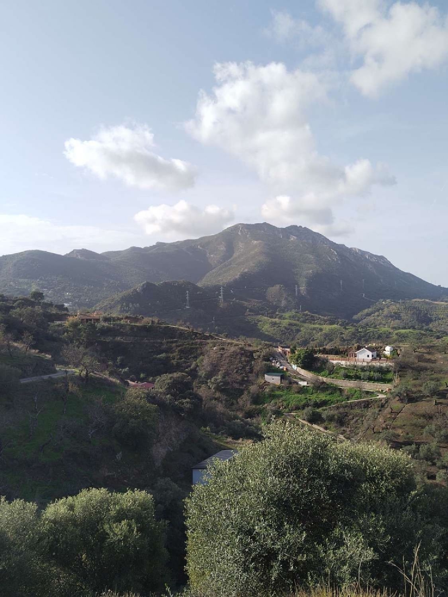  till salu hus Monda Sierra De Las Nieves 7